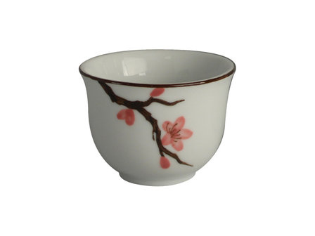 Theeset Sakura - Sushitotaal.nl